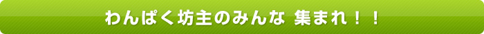 わんぱく坊主のみんな集まれ！